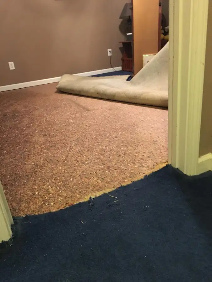 Carpet pad removal revealing water damage during Drying & Dehumidification in Ravenna
